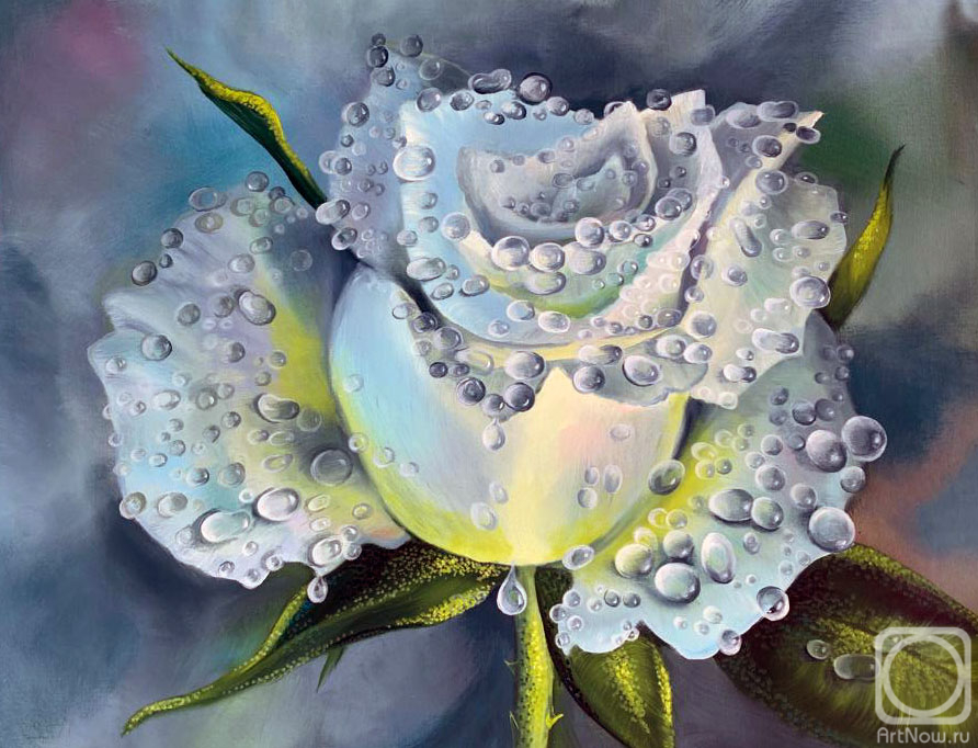 Roenko Tatyana. White rose in raindrops