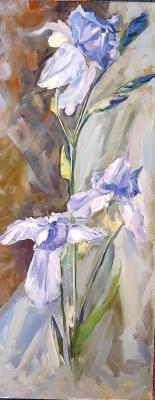 Irises. Khokholkova Sofia