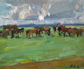 Horses are grazing the north. Zhukova Juliya