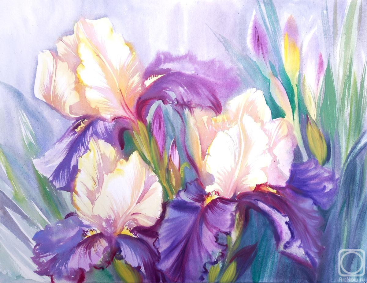 �������. ���������� ���������. ����� ������ ����