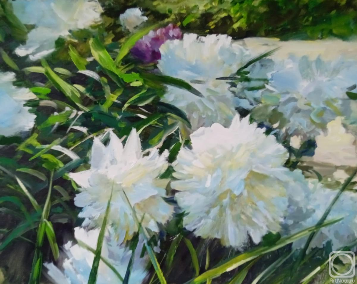 ������� ������ �� ������. ������� ������. �����