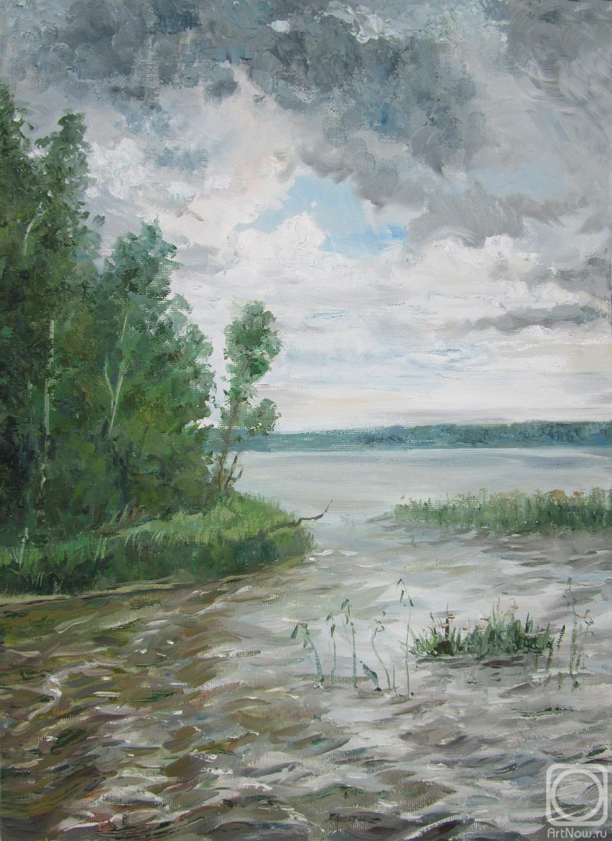 Serova Aleksandra. Pond at the grey day