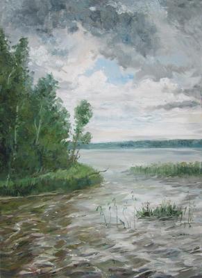 Pond at the grey day. Serova Aleksandra