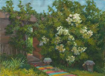 ������ ���� (����). �������� �����