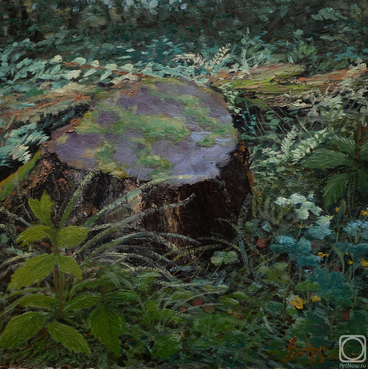 �������. ��������� ��������. ����