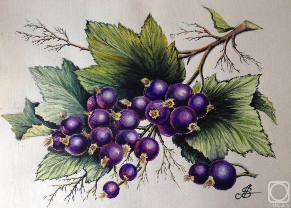 �������. ��������� ��������. ������ ���������