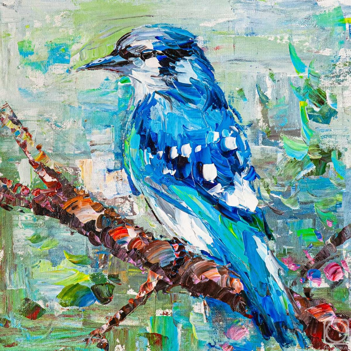 Rodries Jose. Blue jay on a branch