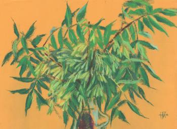 Untitled (Ash Tree). Horoshih Yuliya