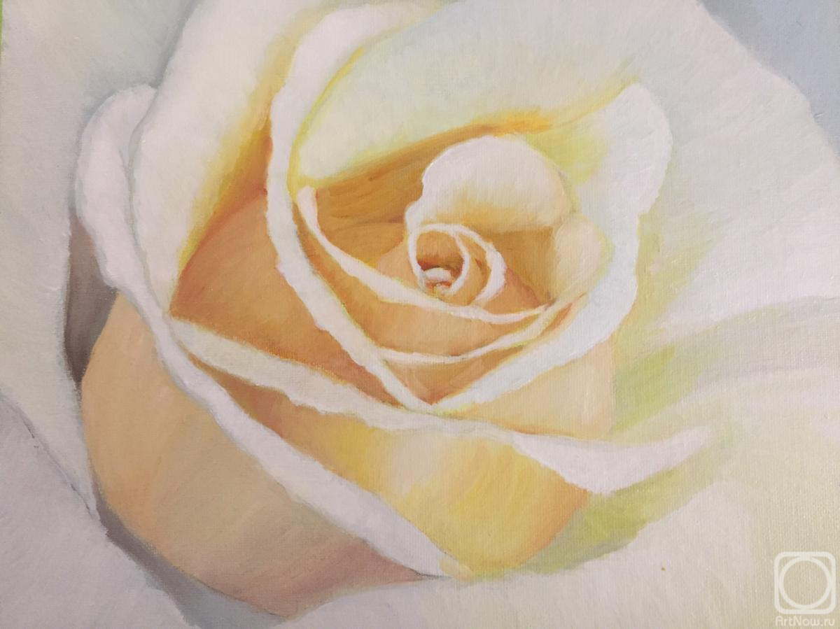 �������. ��������� �����. ���� ������