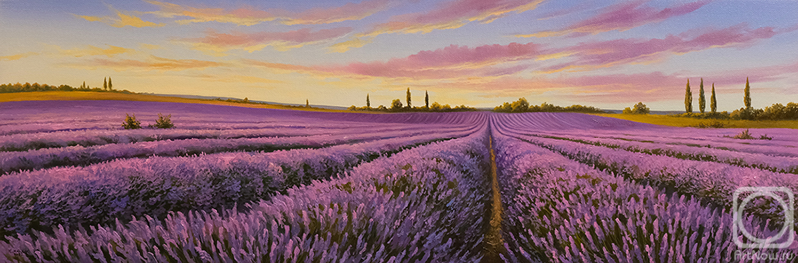 Zhaldak Edward. Lavender fields