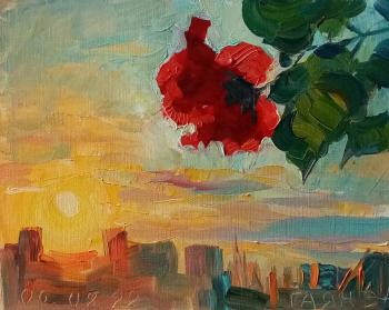 Hibiscus, balcony, sunset