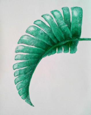 Bruno Tina Augusto. Green leaf