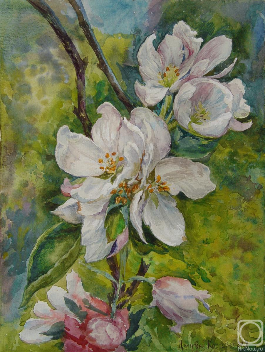 Kostylev Dmitry. Apple tree blossom