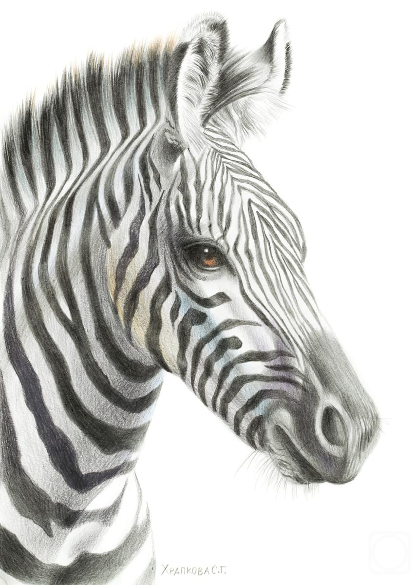 �������. �������� ��������. �����