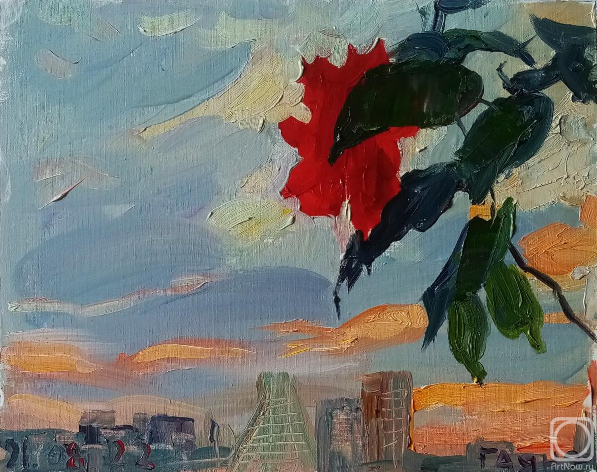 Dobrovolskaya Gayane. Hibiscus again, balcony, sunset