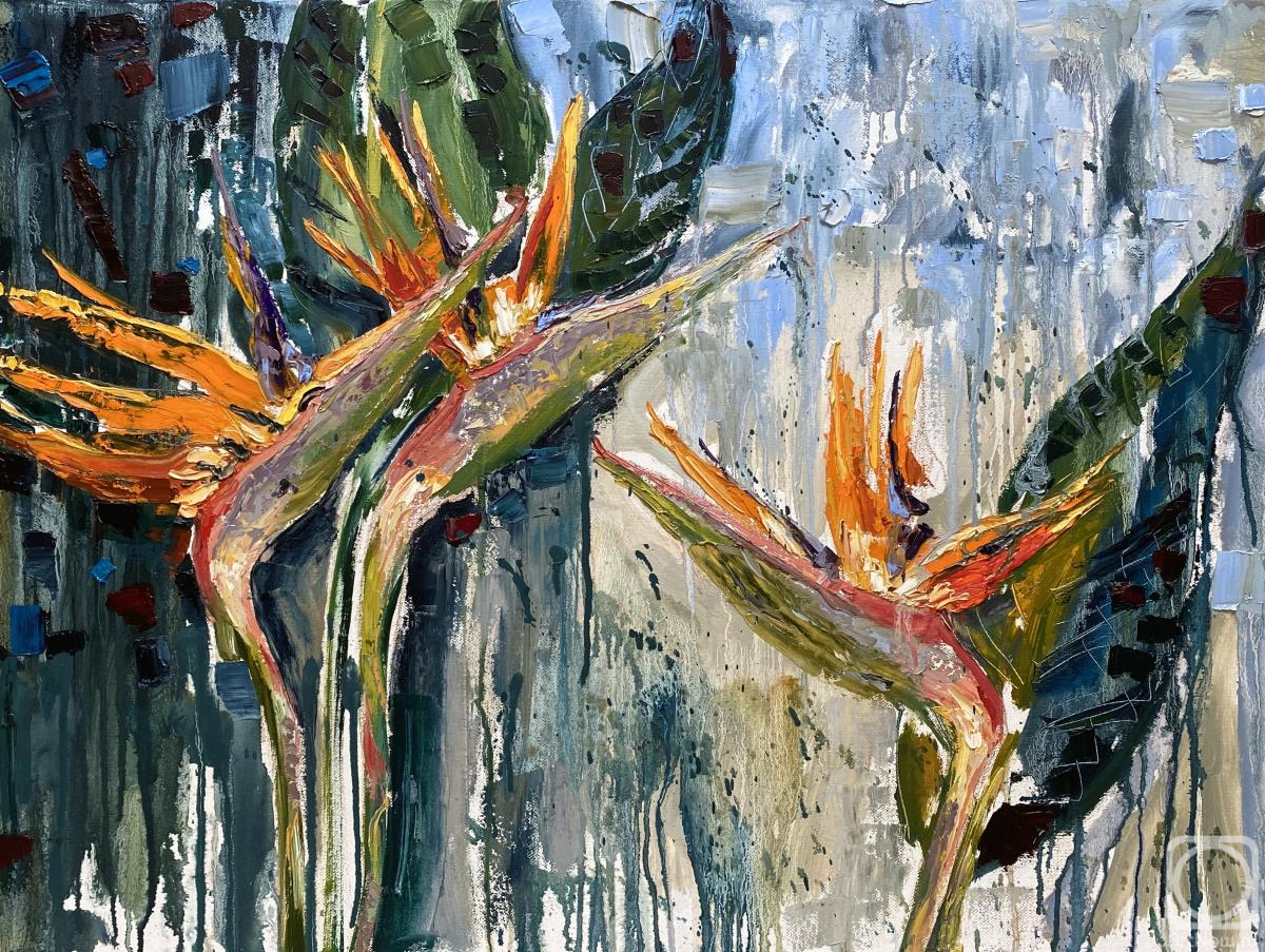 ������� ������ �� ������. �������� �����. ����������