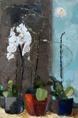 ������� �������� � �����