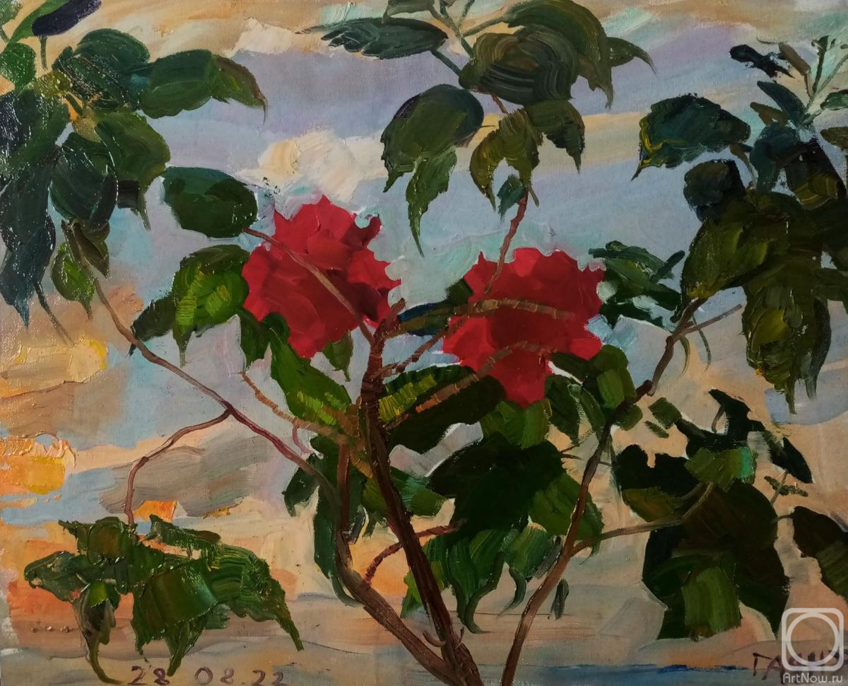 �������. ������������� �����. ��������, �����, ������