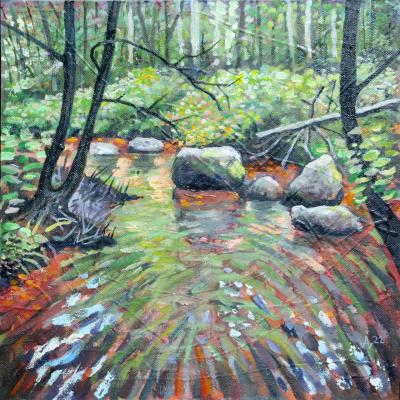 Toshiki. A stream in the forest. Akimov Dmitry
