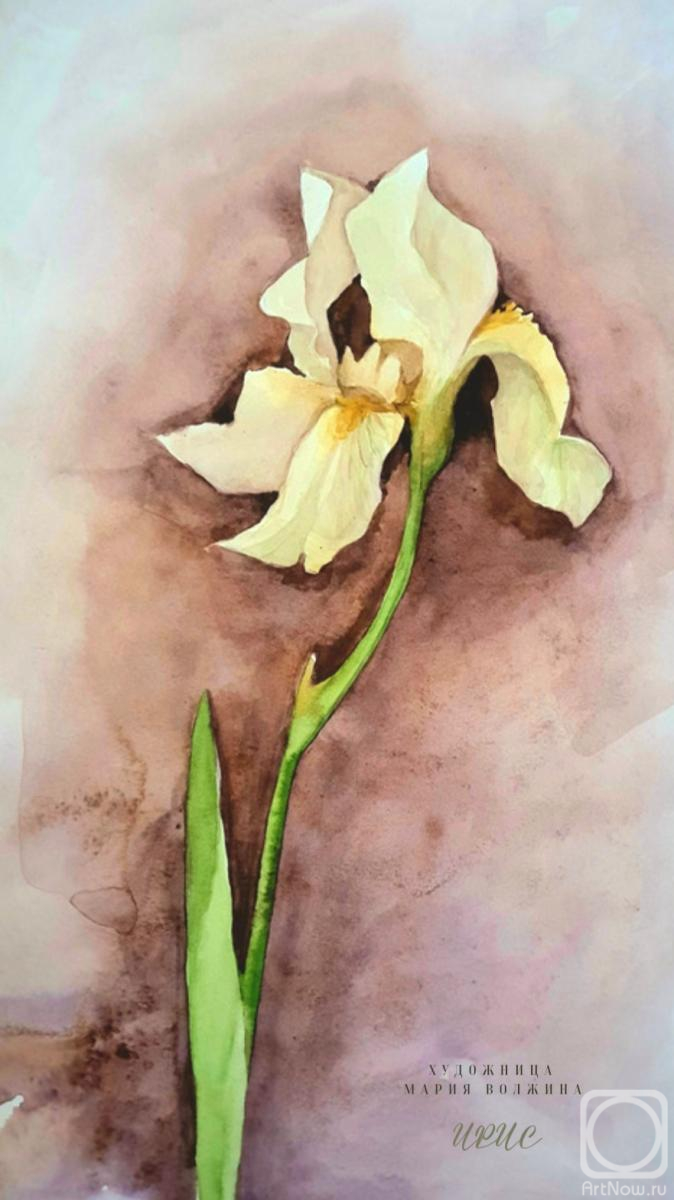 Volzhina Mariya. Golden