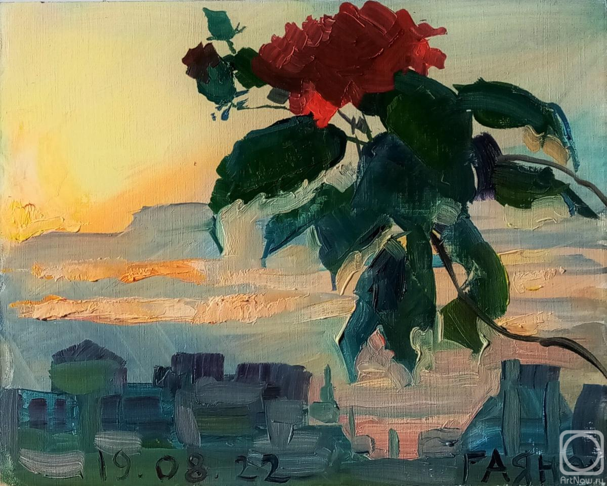 Dobrovolskaya Gayane. Another balcony, sunset, hibiscus