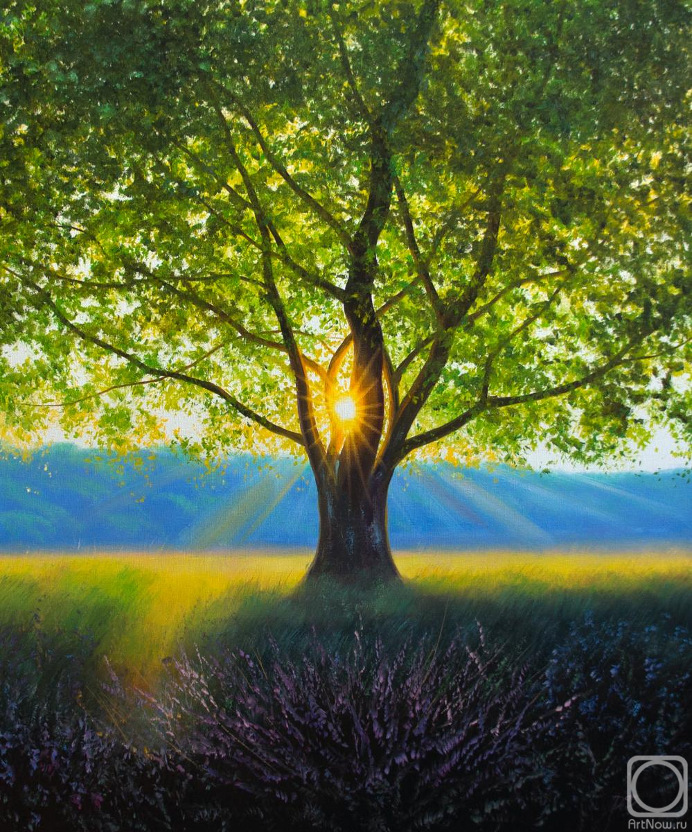 ������� ������ �� ������. ��� ��������. ��������