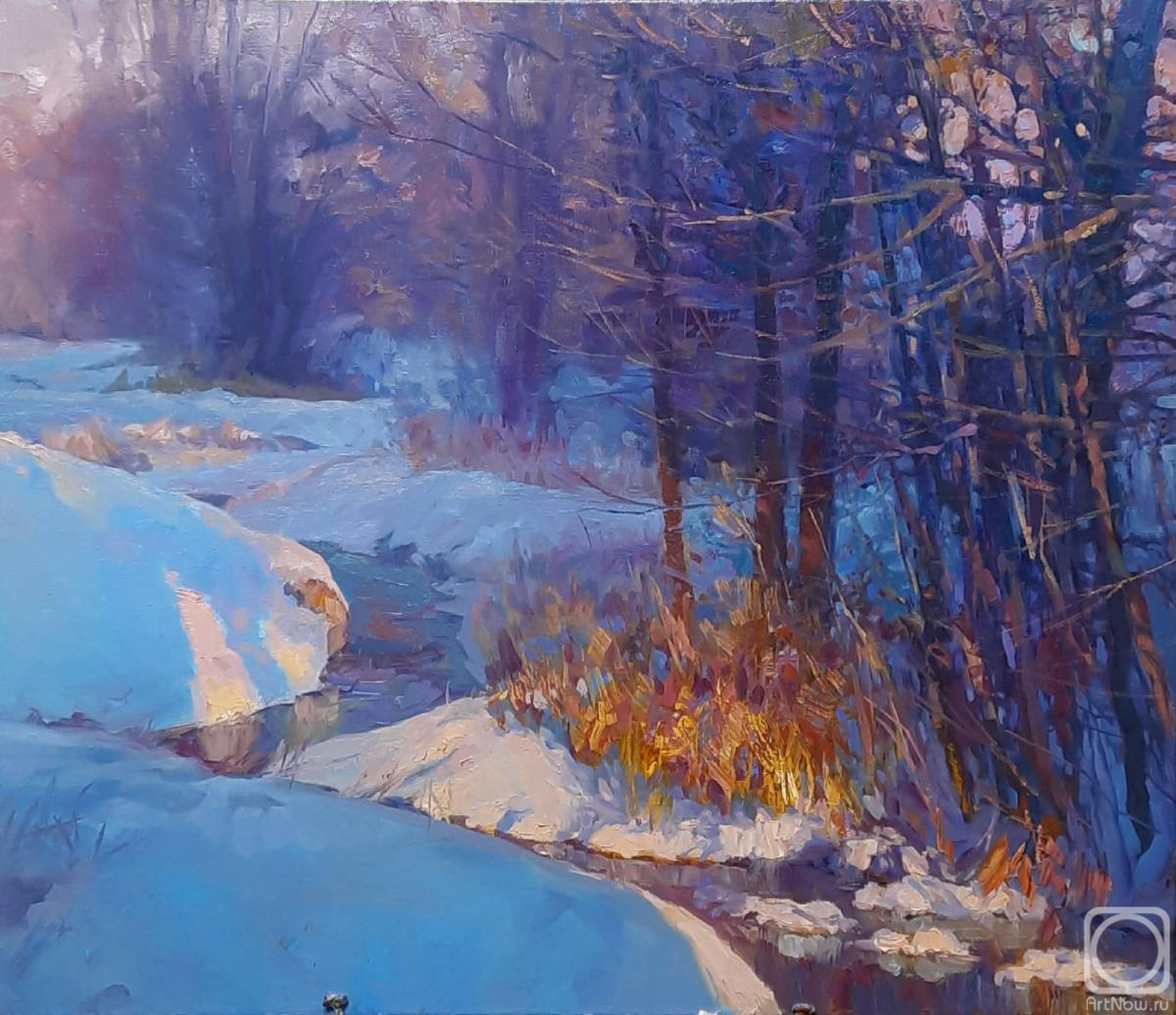 Ryzhenko Vladimir. December. Forest River