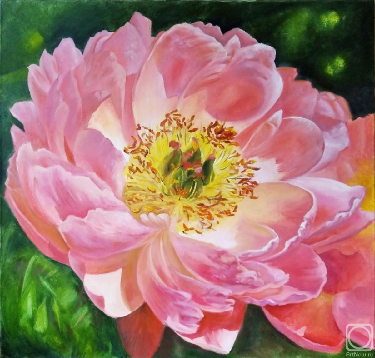 ������� ������ �� ������. ������� ��������. ����� �����