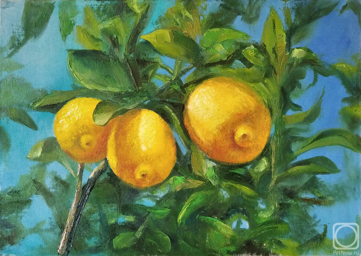 �������. ������� ��������. ������ �� �����