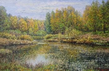 ������� ������ �� ����