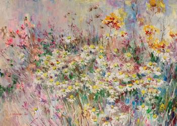 Field daisies. Kruglova Svetlana