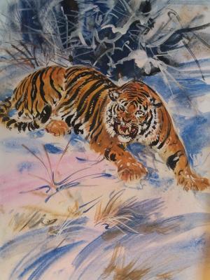 Tiger growing, winter nature, aquarell, landscape. Bastrykin Viktor
