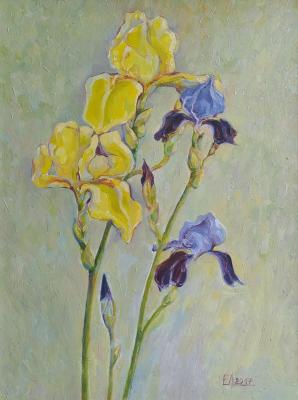"Irises". Ermalyugina Liliya