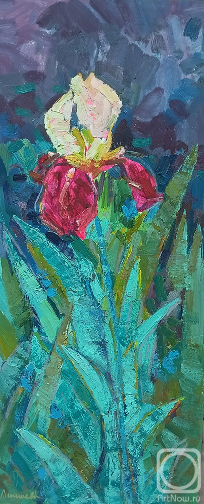 ������� ������ �� ������. ������� �����. ����