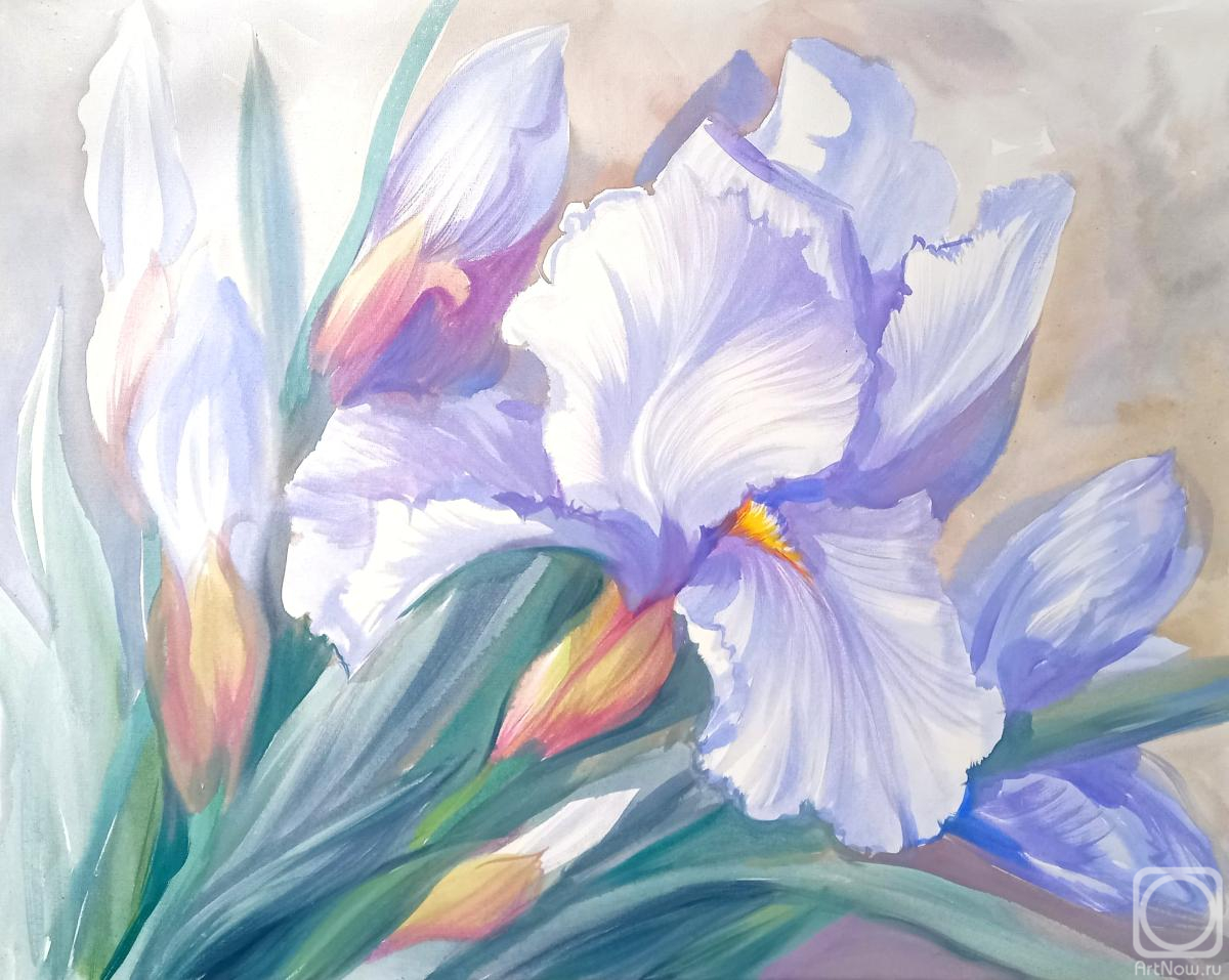 �������. ���������� ���������. ��������� ����