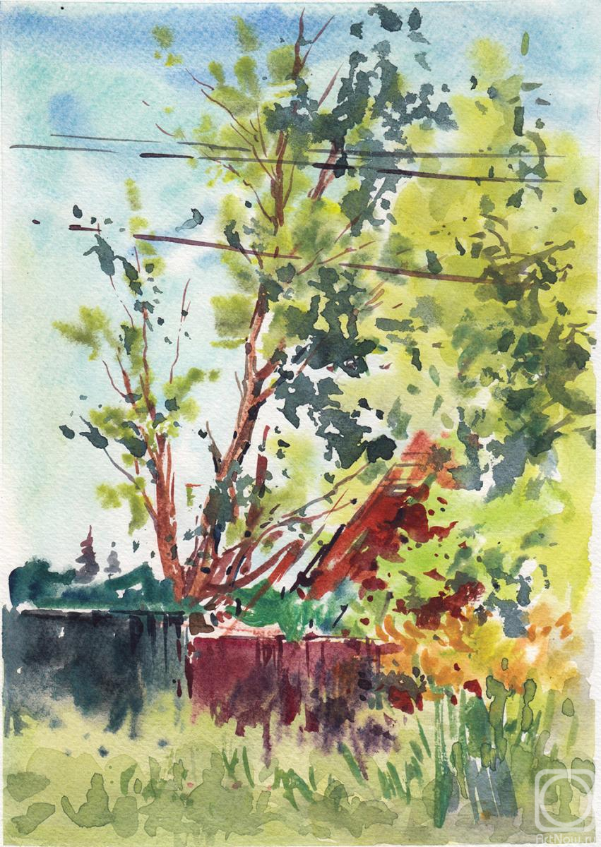 Shegol George. Untitled