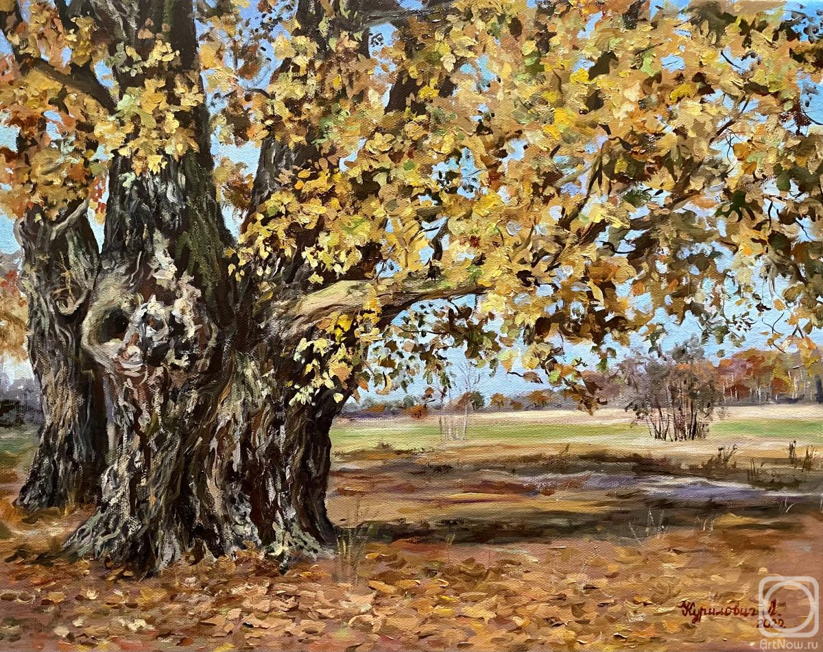 ������� ������ �� ������. ��������� �������. �����