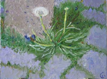 ������� ������ ����!�