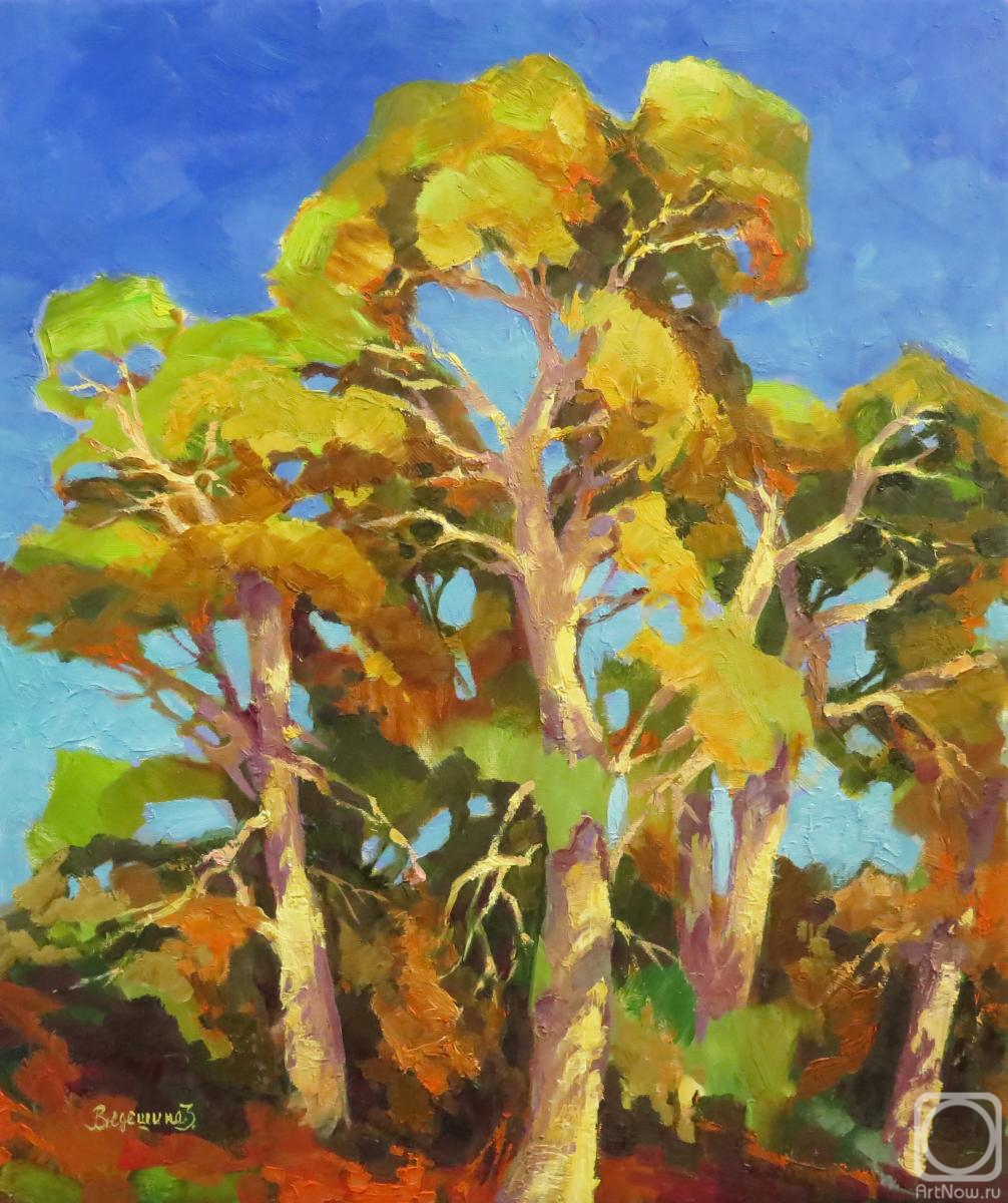 ������� ������ �� ������. �������� �������. �������. �����.�������� ���������