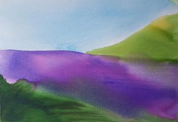 Lavender Field. Newman Nathalie