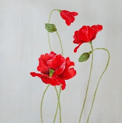 Poppies. Garcia Luis