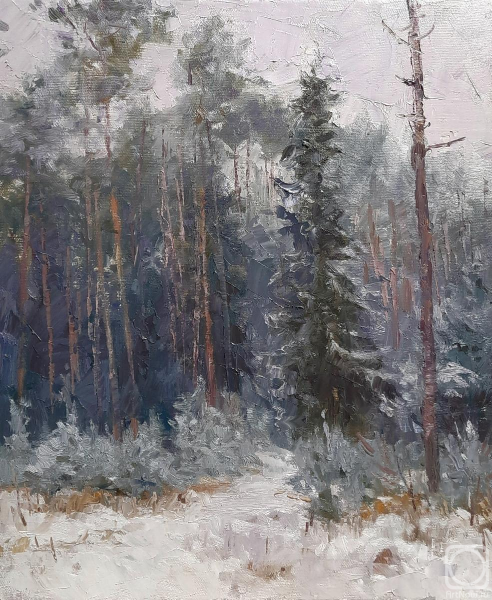Ryzhenko Vladimir. Forest in November