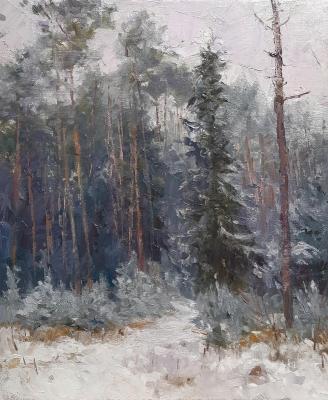 Forest in November. Ryzhenko Vladimir