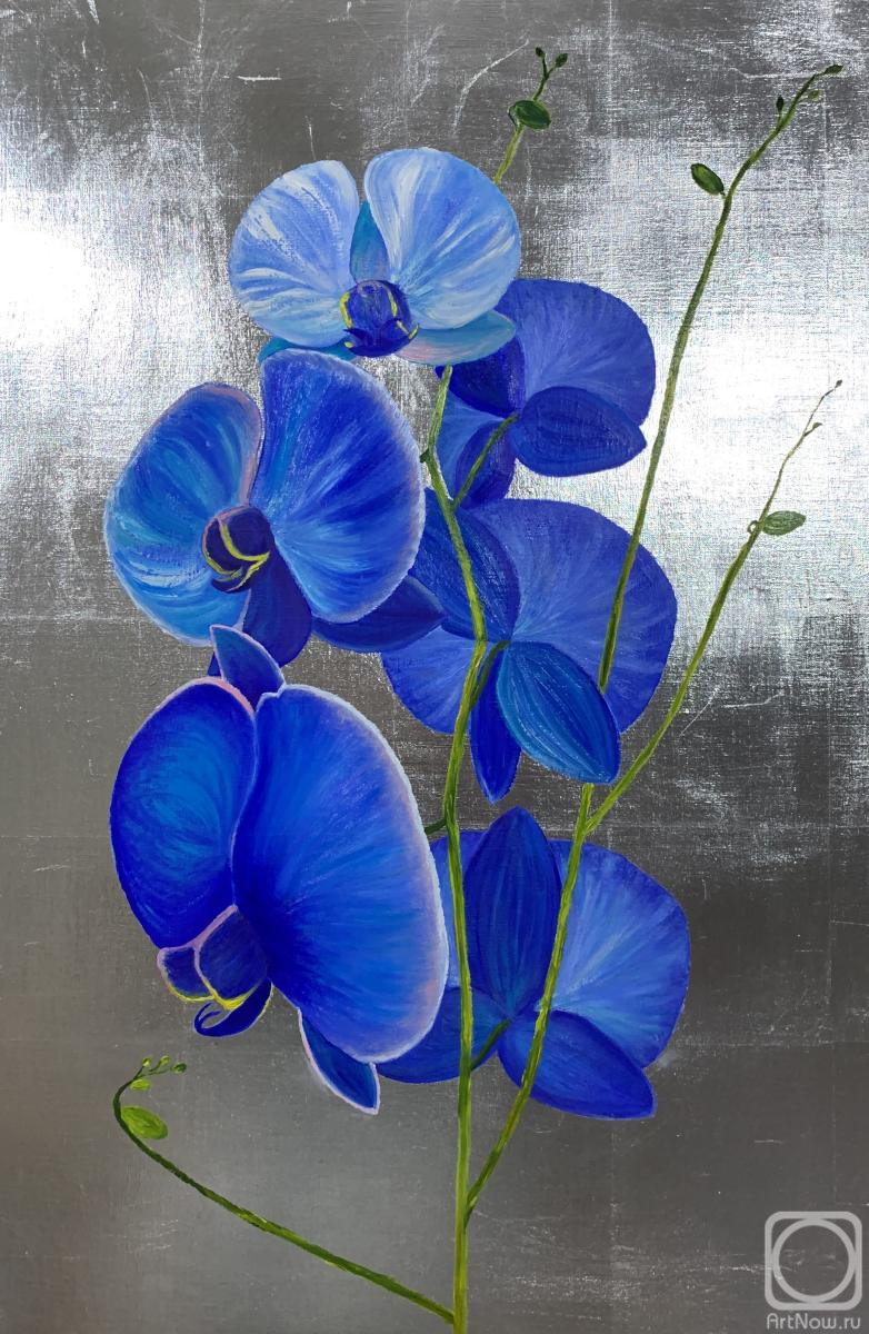 Shuruhova Maryat. Blue orchid