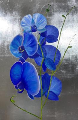 Blue orchid (Silver Leaf). Shuruhova Maryat