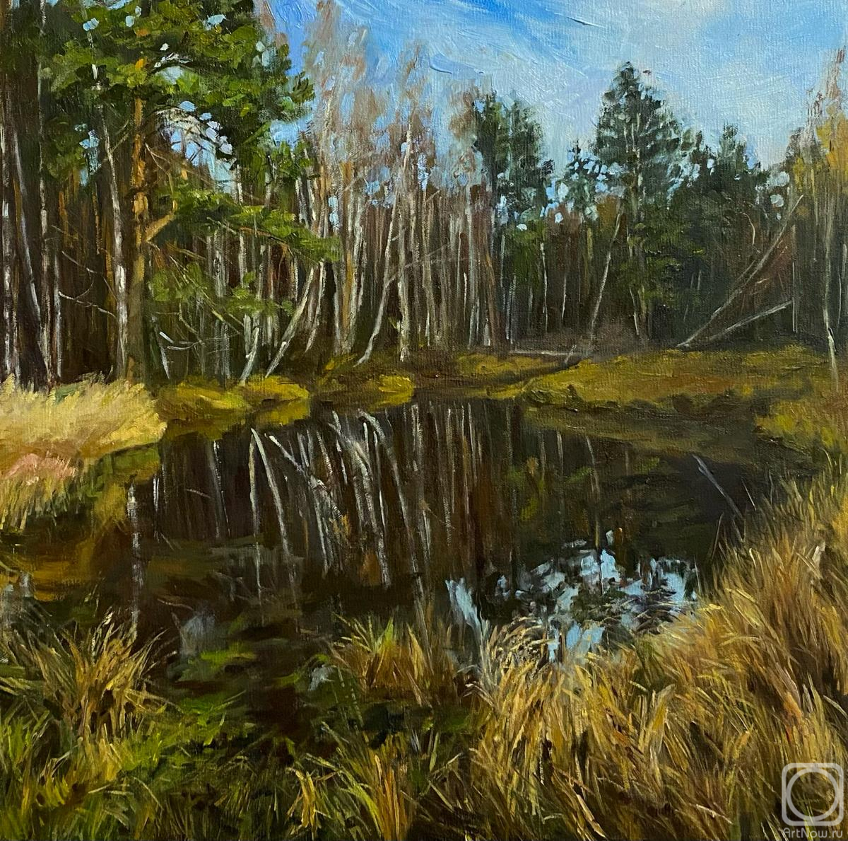 Sereda Polina. Late fall