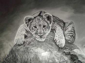 The lion cub. Arzhanov Aleksandr