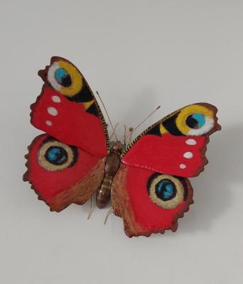Butterfly. Samoilov Michael