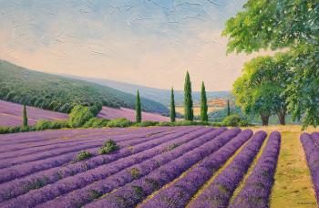 Provence. Zhaldak Edward