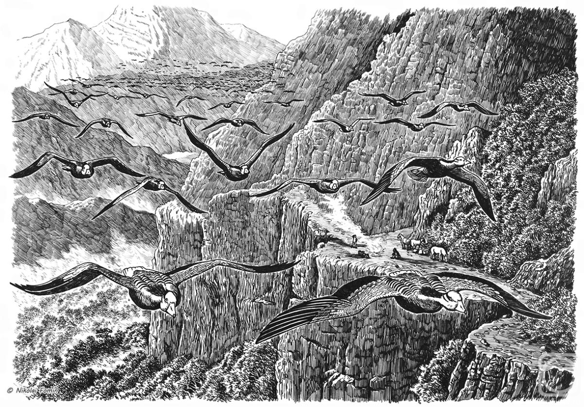 Fomin Nikolay. Bar-headed geese in the Himalayas